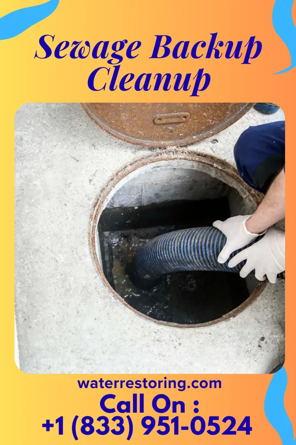 Sewage Backup Cleanup in Wright City, MO